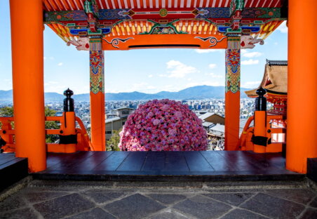 PROJECT Brest cancer1