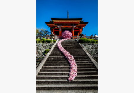 PROJECT Brest cancer6