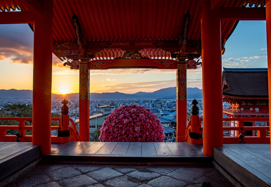 PROJECT Brest cancer2