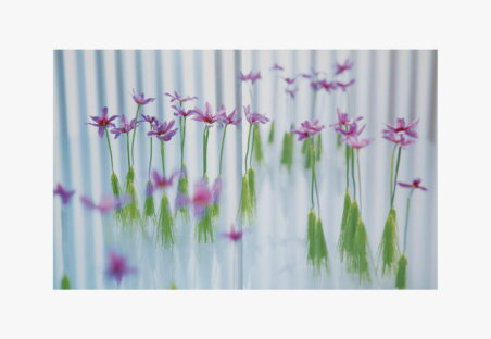 PUBLICATION nicolai bergmann4