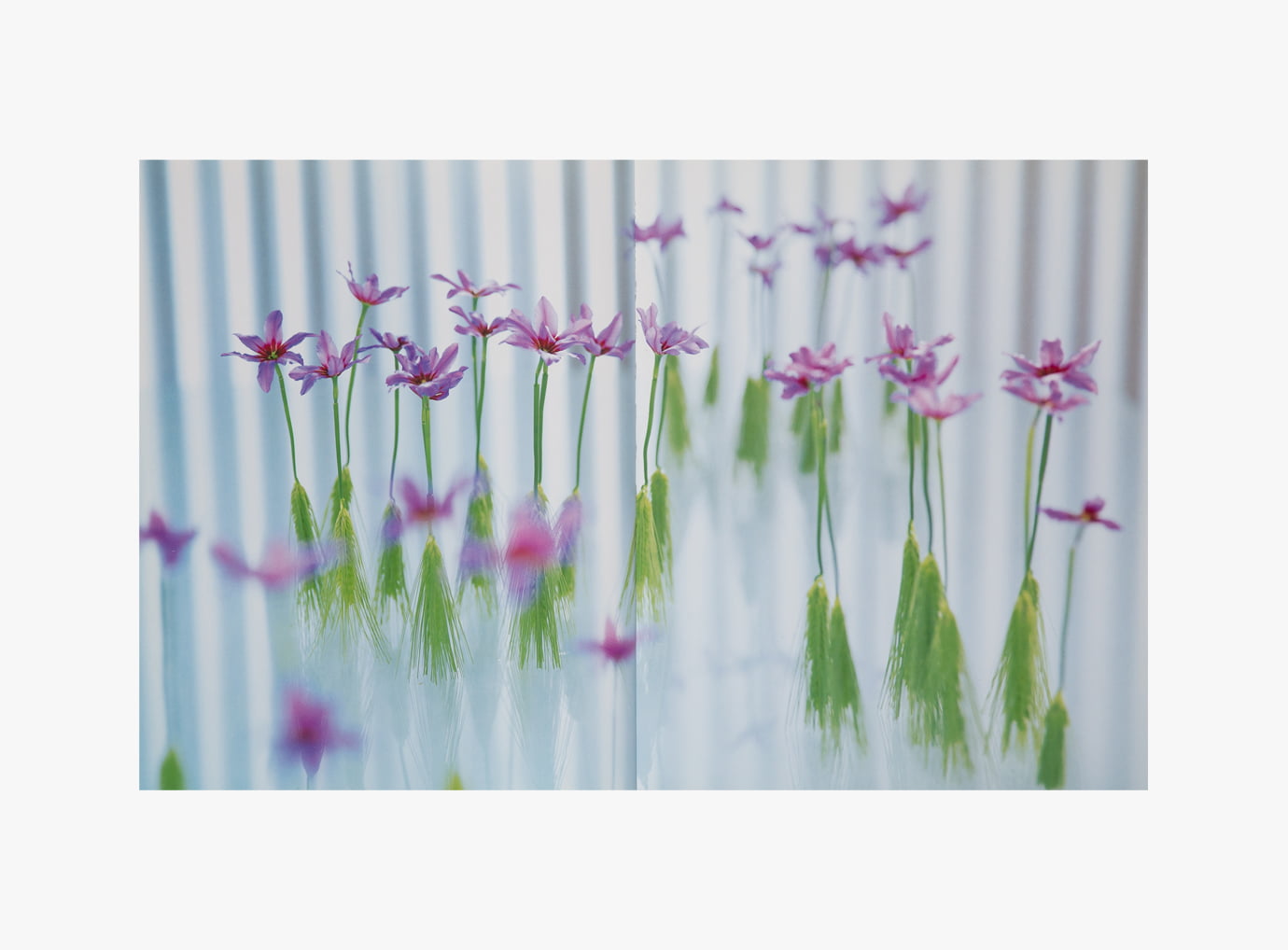 nicolai bergmann｜Nicolai Bergmann