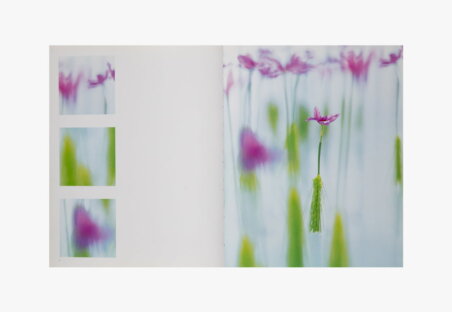 PUBLICATION nicolai bergmann5