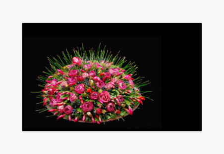 PUBLICATION FLORESCENCE5