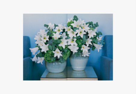 PUBLICATION nicolai bergmann6