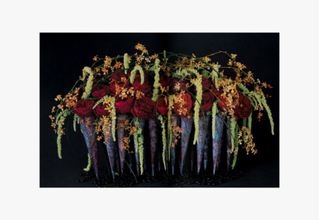 PUBLICATION nicolai bergmann3