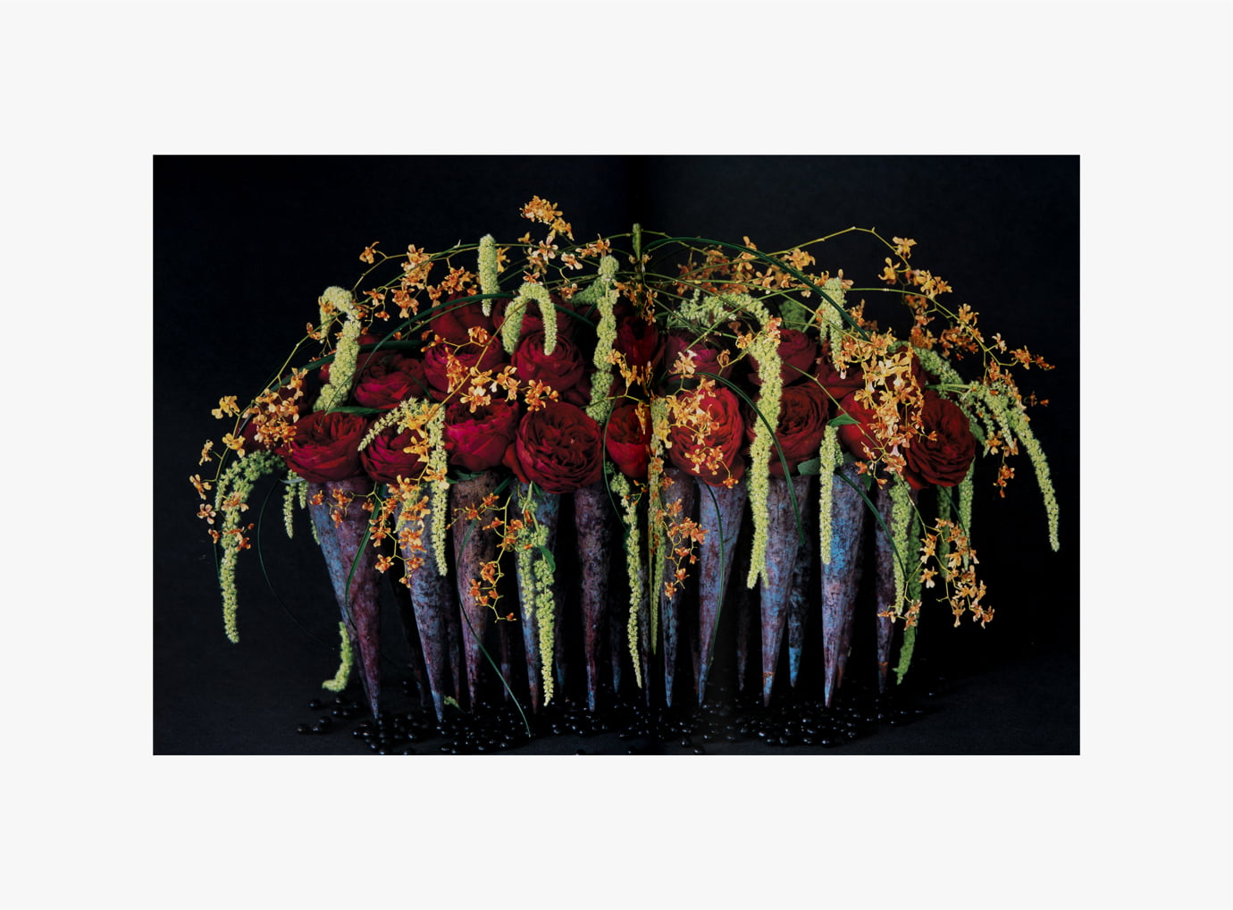 nicolai bergmann｜Nicolai Bergmann