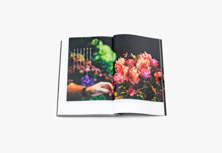 PUBLICATION IIGAMAN2