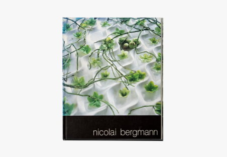PUBLICATION nicolai bergmann1