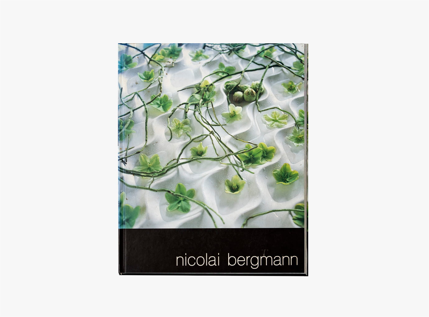 PUBLICATION nicolai bergmann1
