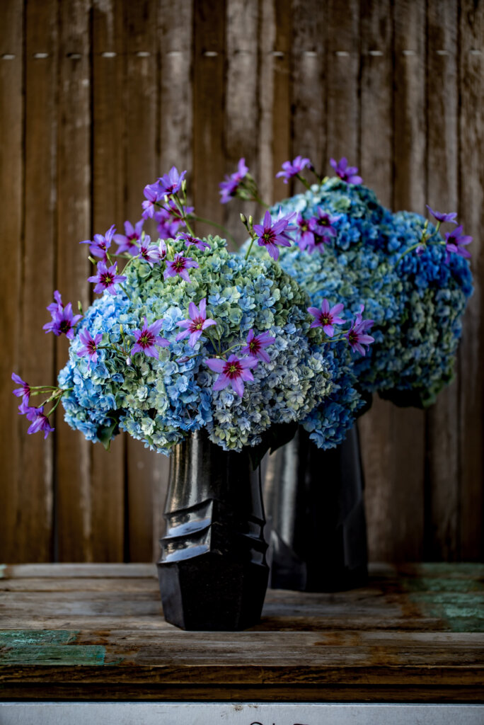 ニコライ・バーグマン(Nicolai bergmann) 花写真集 ART WORKS｜Nicolai Bergmann