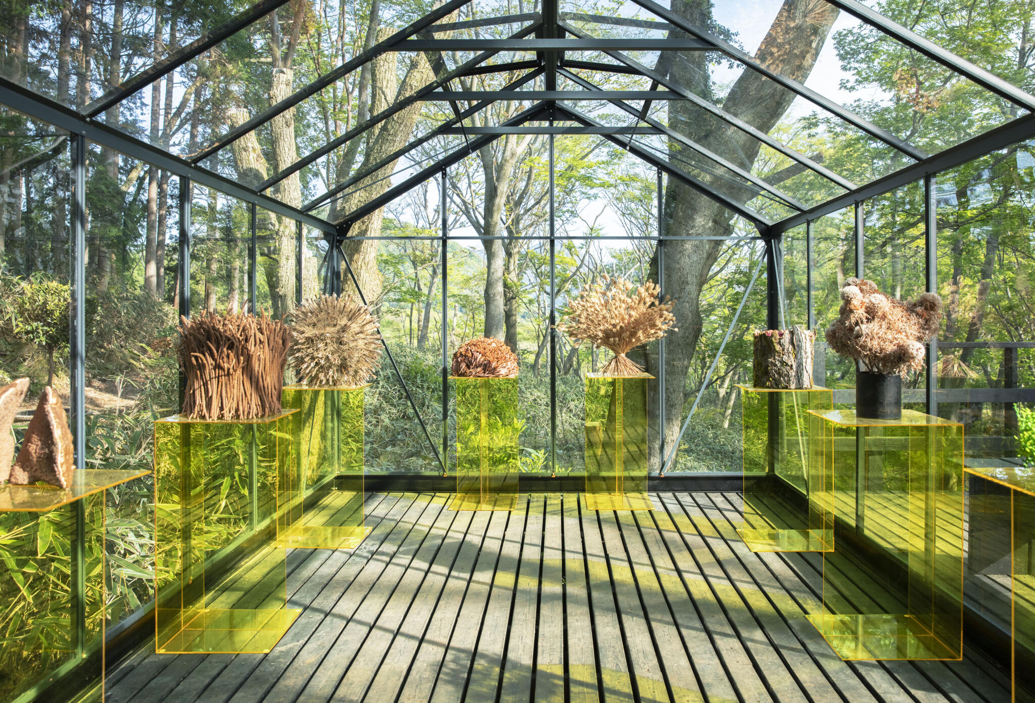 #NicolaiBergmann #ニコライバーグマン HAKONE: ニコライ・バーグマンの世界観を通して人と自然が繋がる唯一無