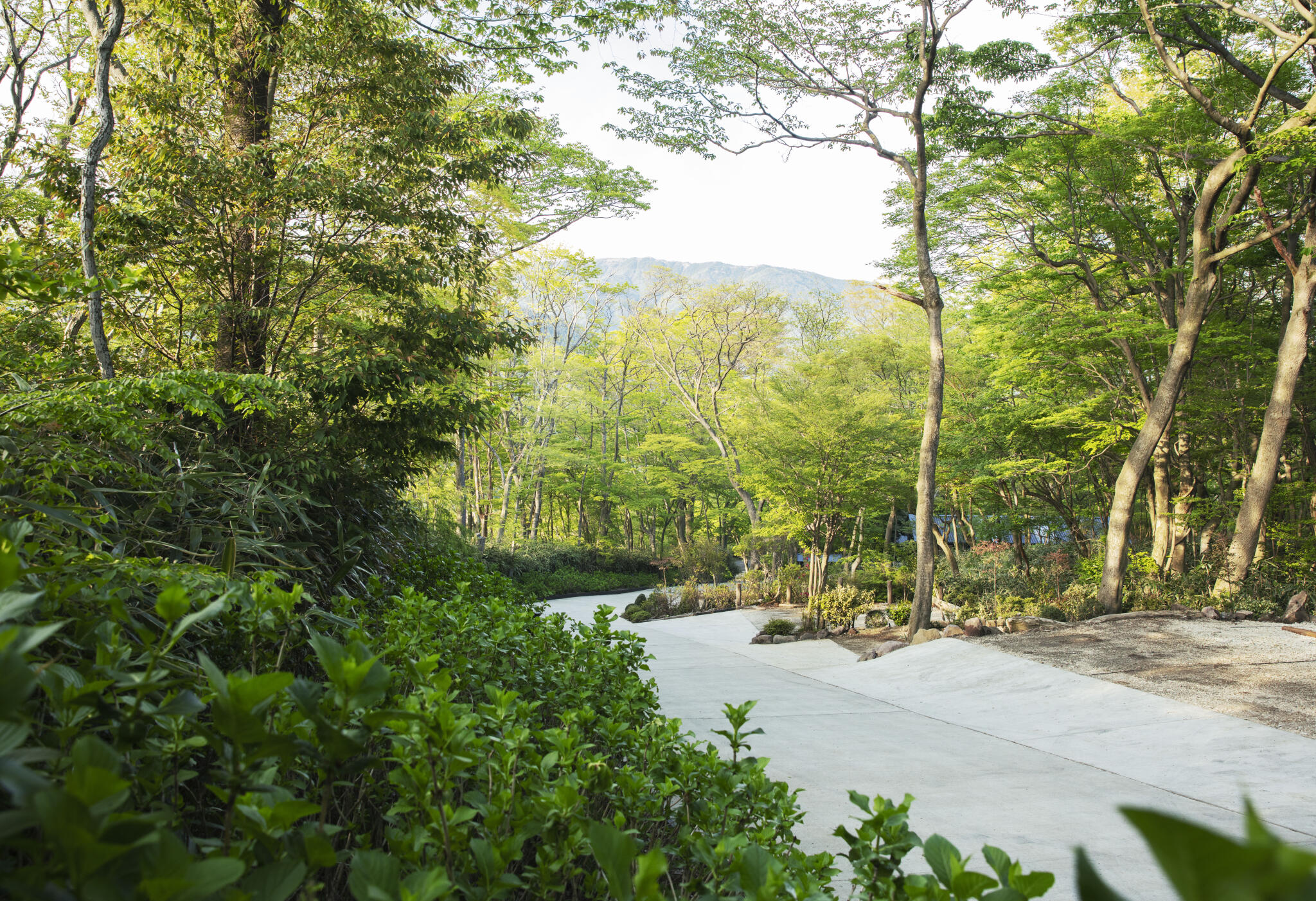 HAKONE: ニコライ・バーグマンの世界観を通して人と自然が繋がる唯一無