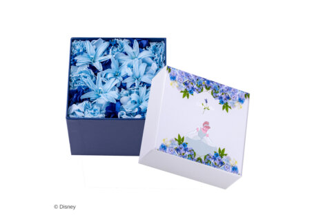 Disney ARTIST COLLECTION by nicolai bergmann