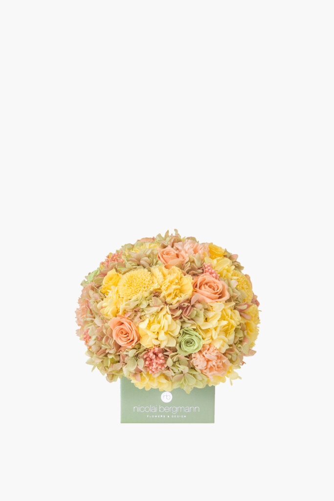 Nicolai Bergmann ニコライ バーグマン 公式ウェブサイト