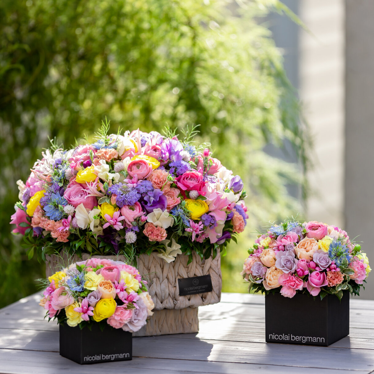 An Early Visit : Spring Collection 2023