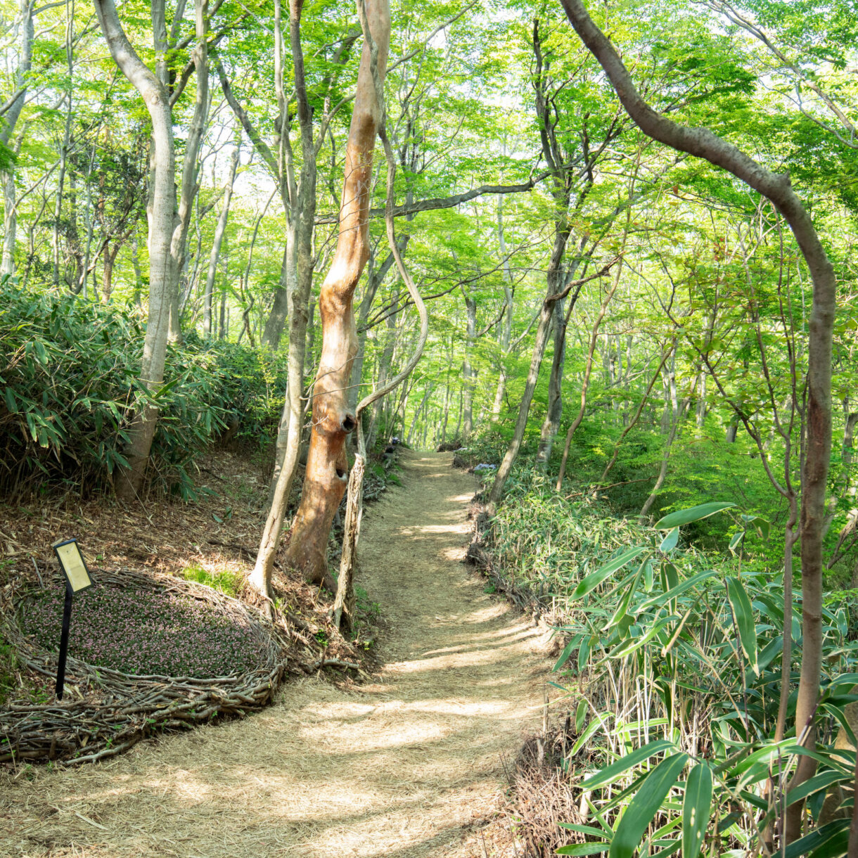 NICOLAI BERGMANN HAKONE GARDENS – Notice of Change in Open Days