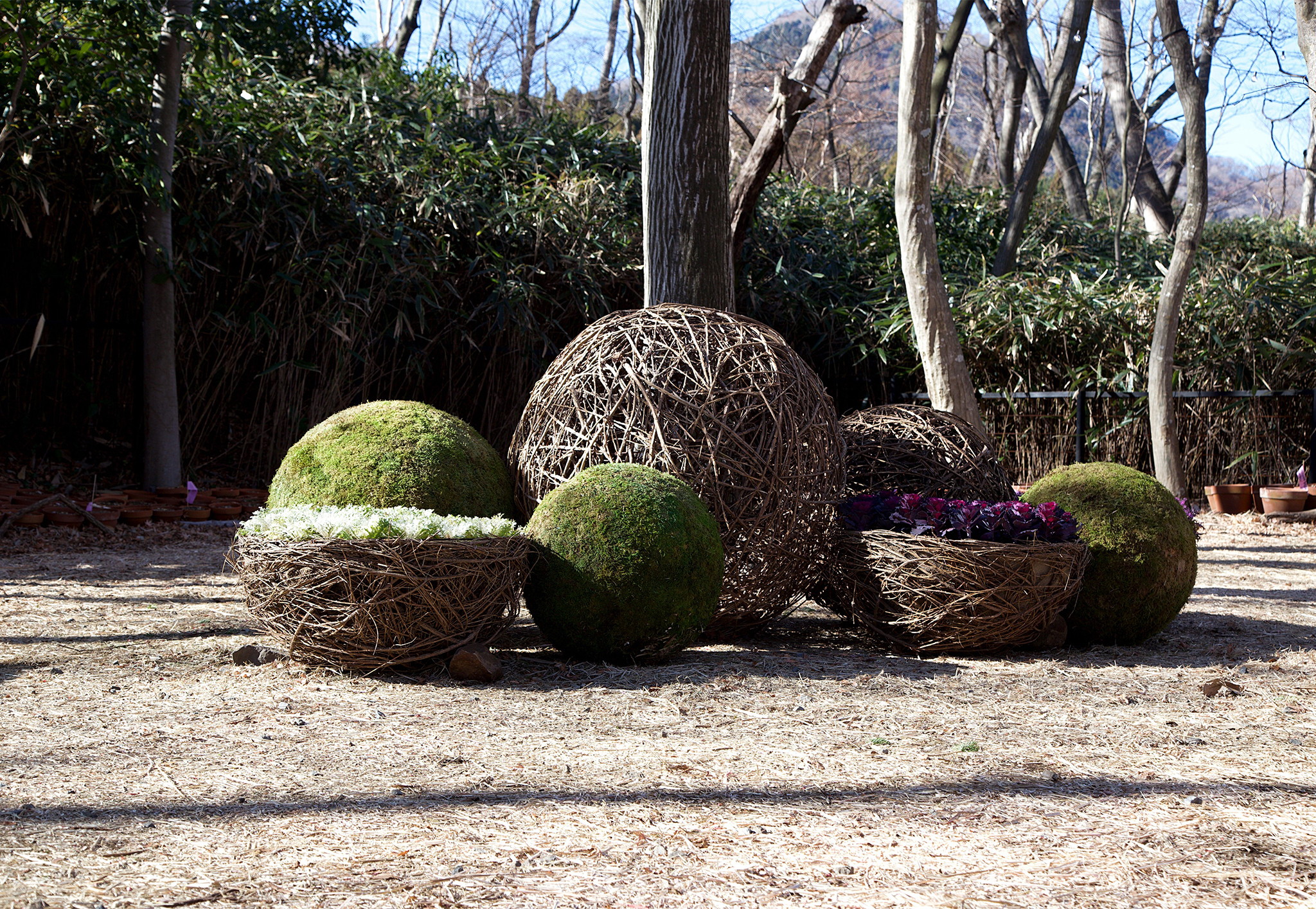 ニコライ バーグマン 箱根 ガーデンズ : NEW INSPIRATION 2024