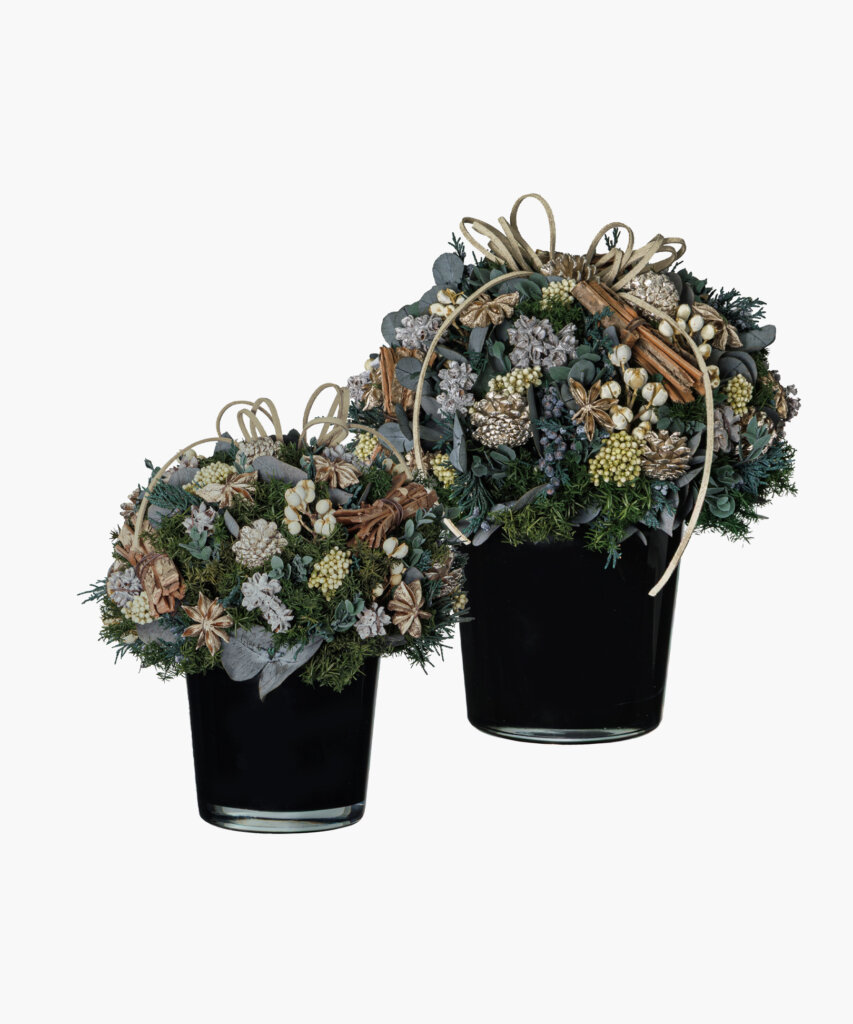 Nicolai Bergmann | ニコライ バーグマン 公式ウェブサイト