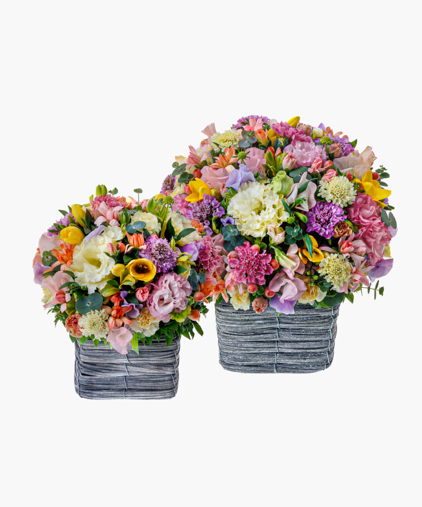 Pastel Palette (パステル パレット)