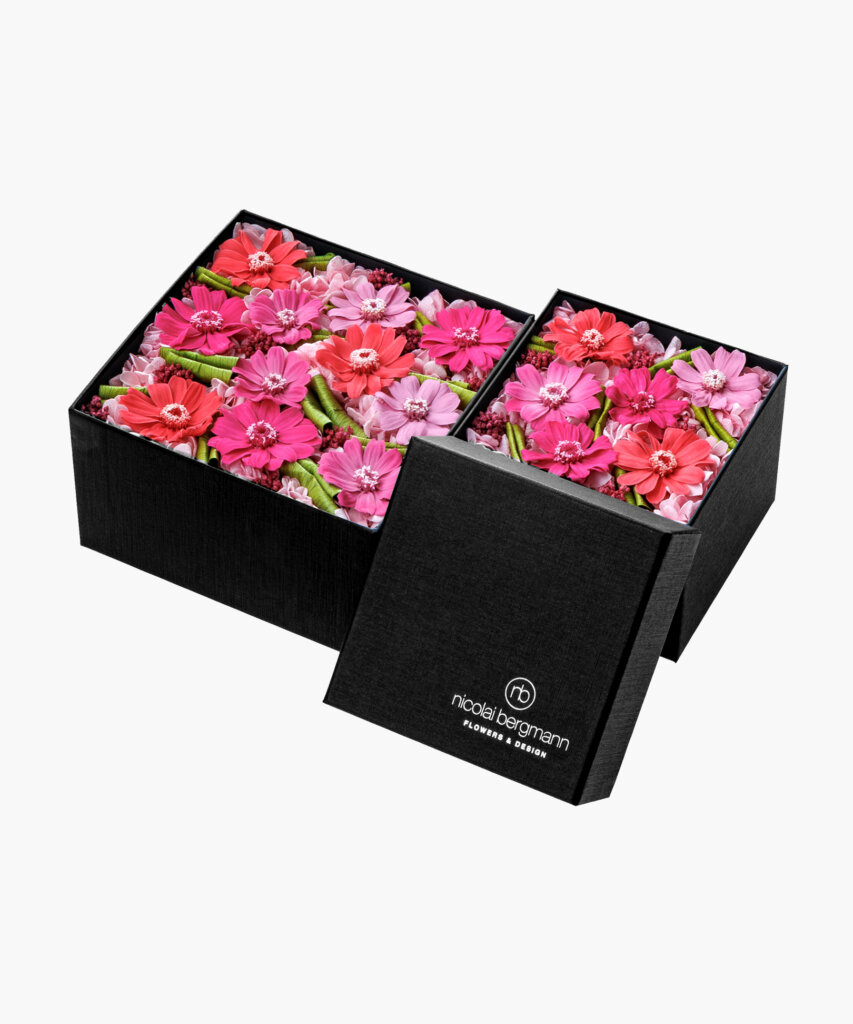 Spring Zinnia (スプリング ジニア)