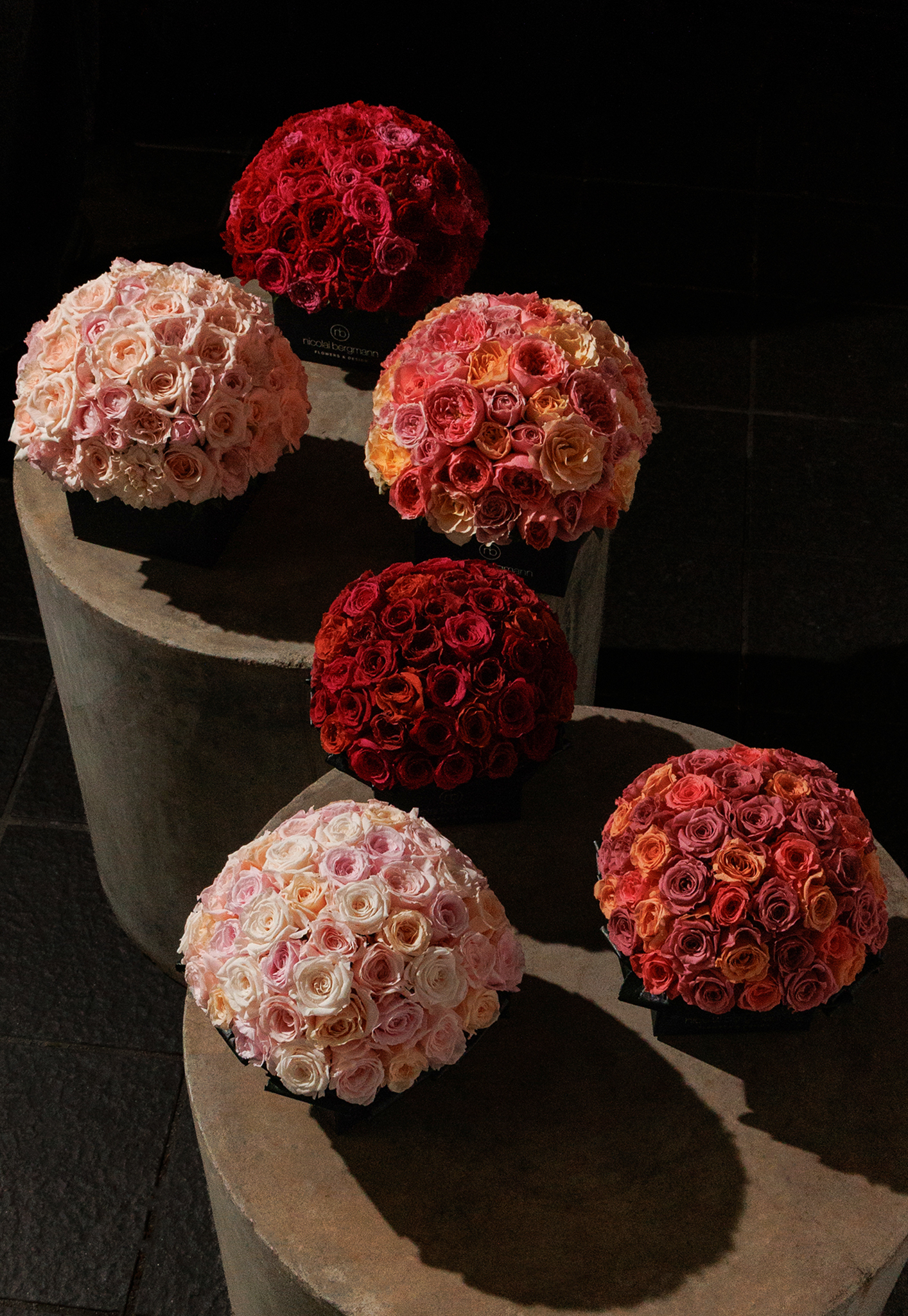 オータム 限定 ローズコレクション 2025｜Nicolai Bergmann