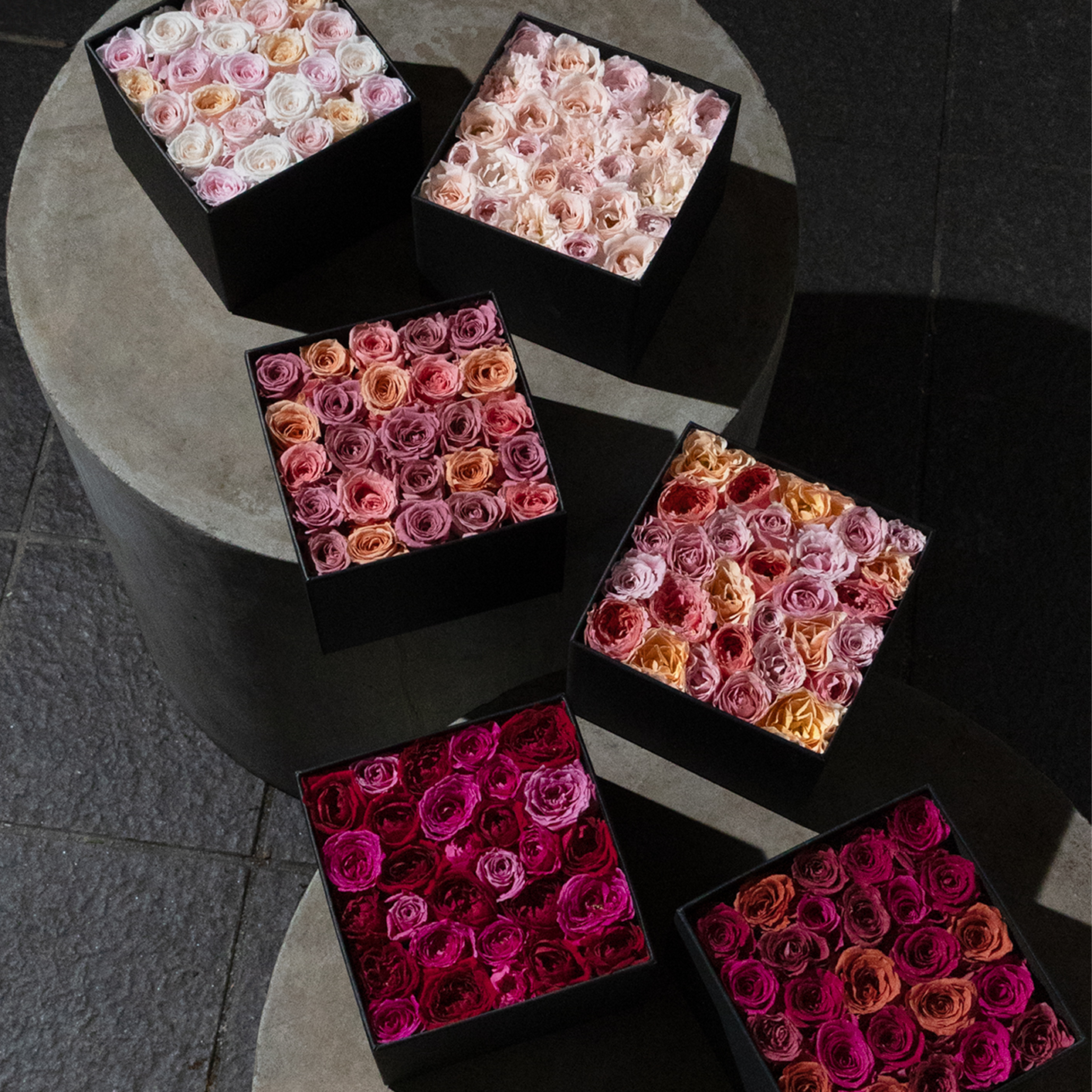 Autumn Limited Rose Collection 2025｜Nicolai Bergmann