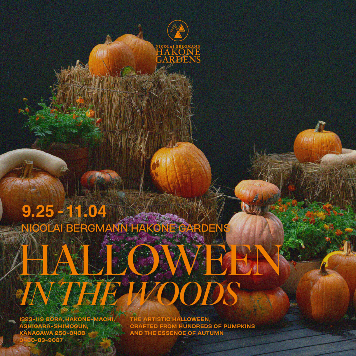 Halloween Season at Nicolai Bergmann Hakone Gardens!