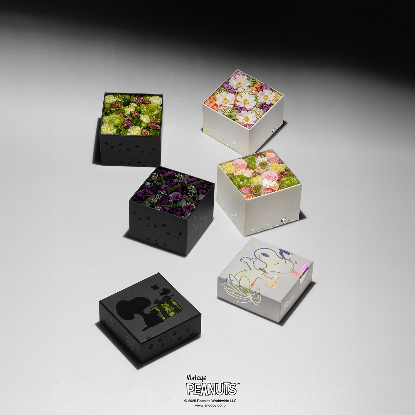 c*a様 【限定品】ニコライバーグマン×スヌーピー フラワーボックス誕生25周年記念コラボレーション VOL.3: Nicolai