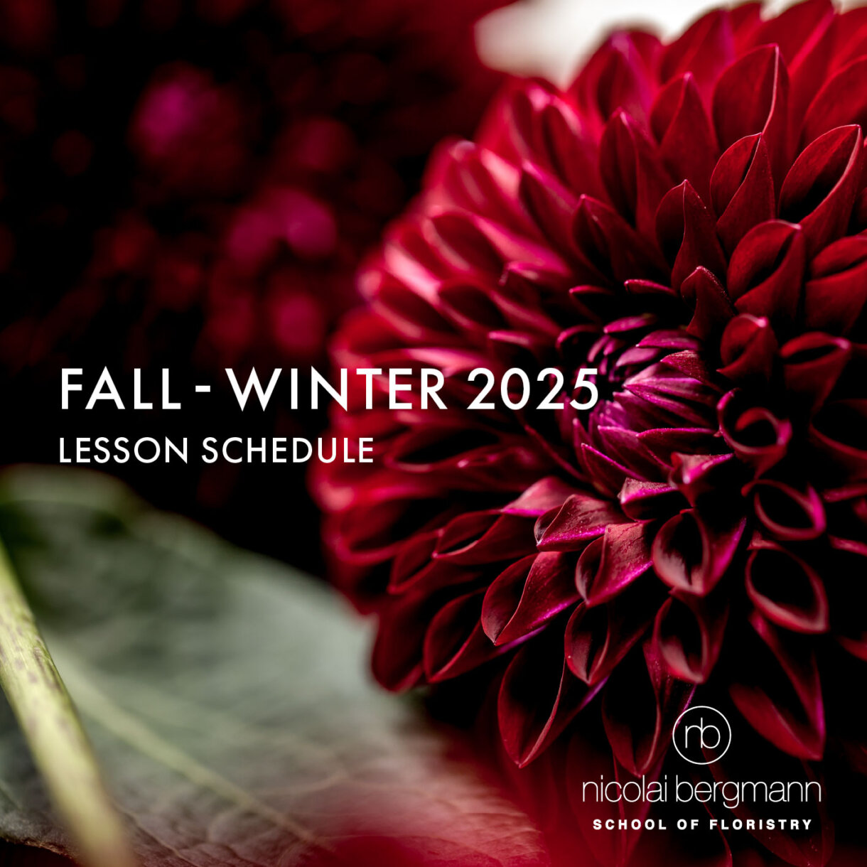 Autumn–Winter 2025 Flower School reservations are now open!