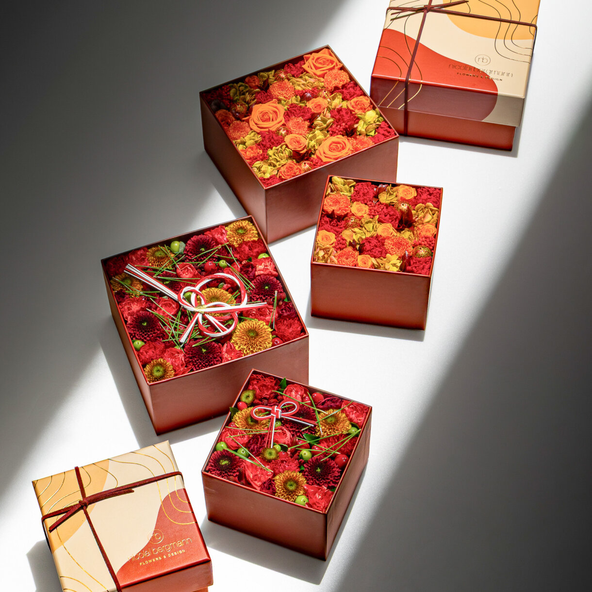 Festive Beginnings with New Year Collection 2026