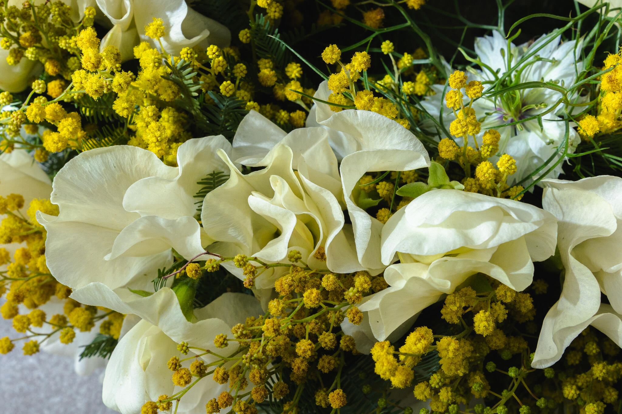 2026年1–3月 フラワースクール スケジュール公開｜Nicolai Bergmann