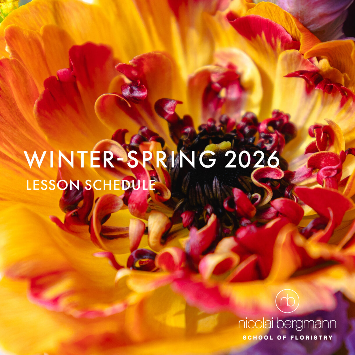 【フラワースクール】2026 1月-3月レッスン 予約開始