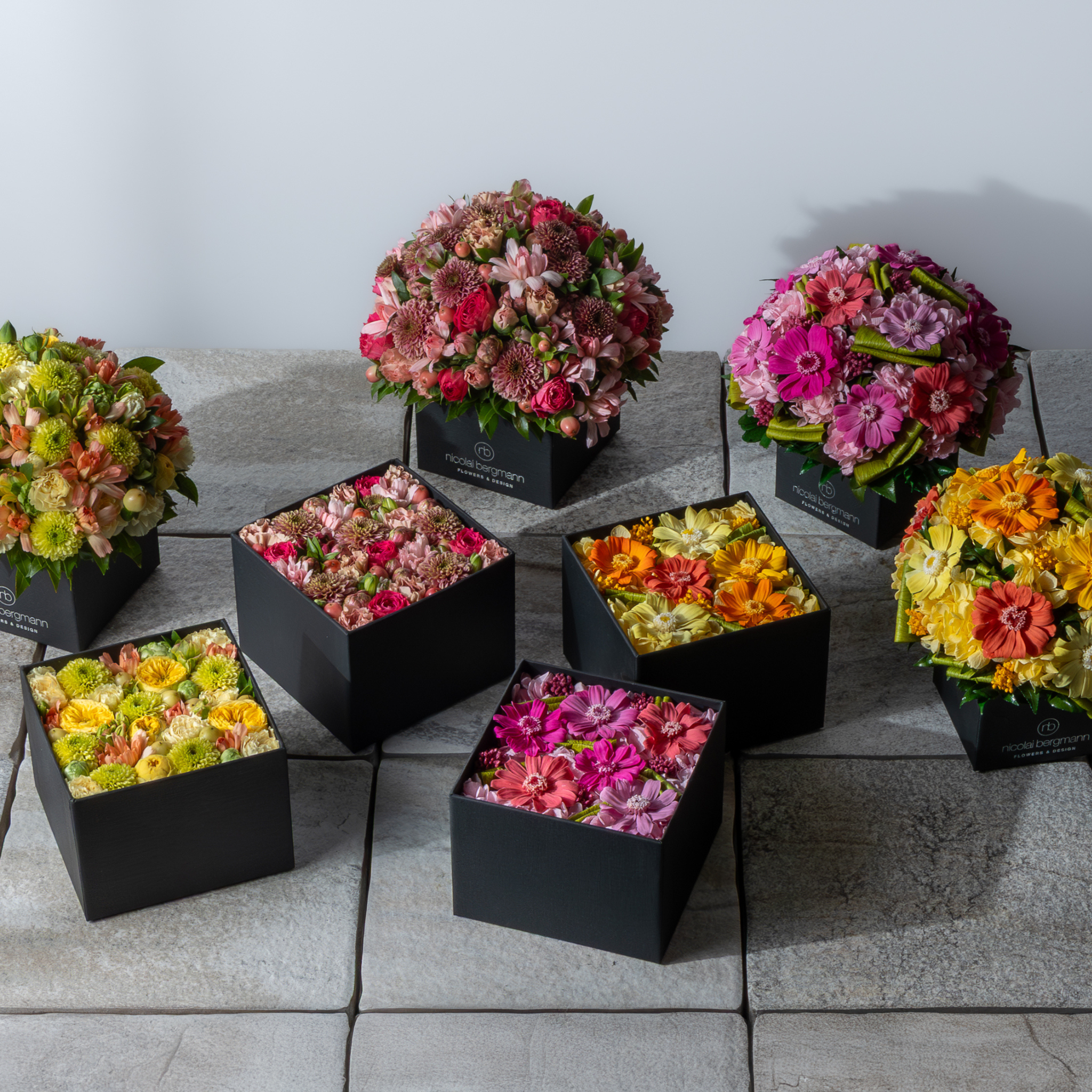 Spring Collection 2026 — Capturing the Colorful Transition from