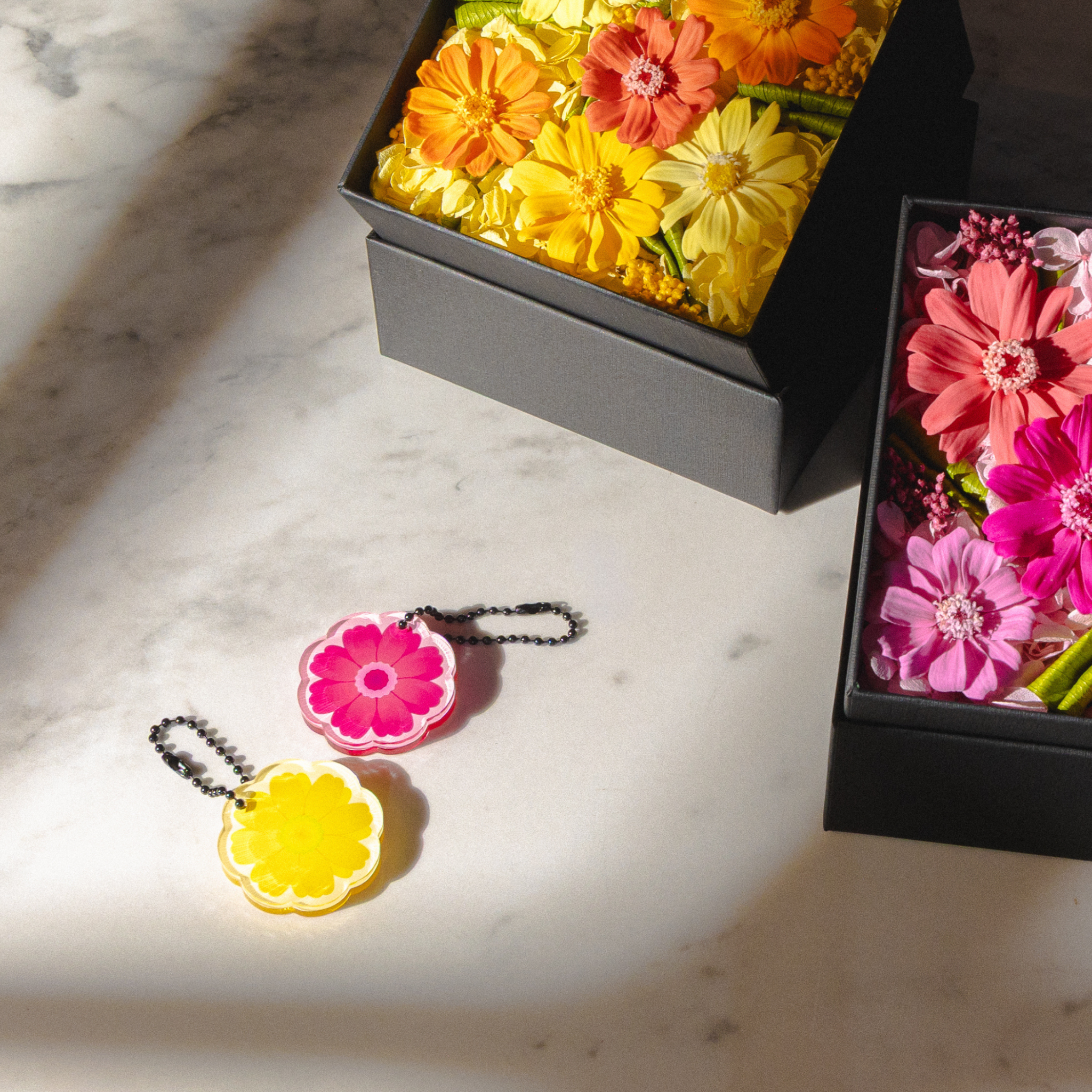 スプリングコレクション2026 発売のお知らせ｜ニコライ バーグマン