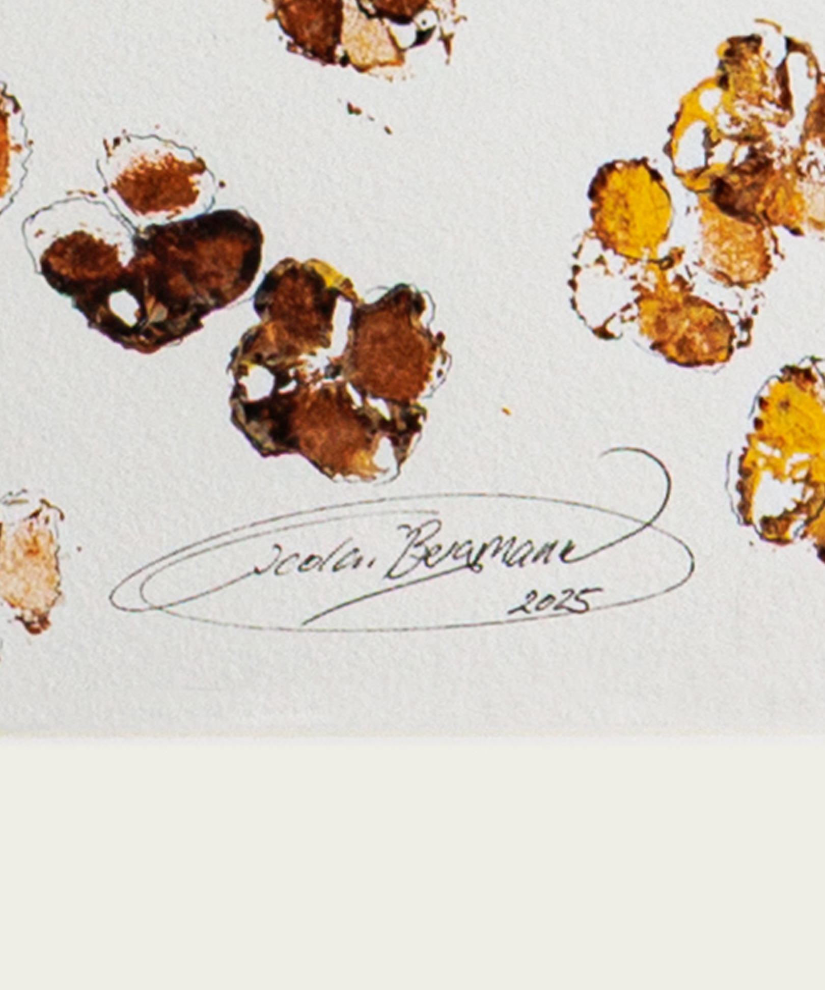 フラワーエキシビション「KUMIAWASE」オリジナルグッズ再販売