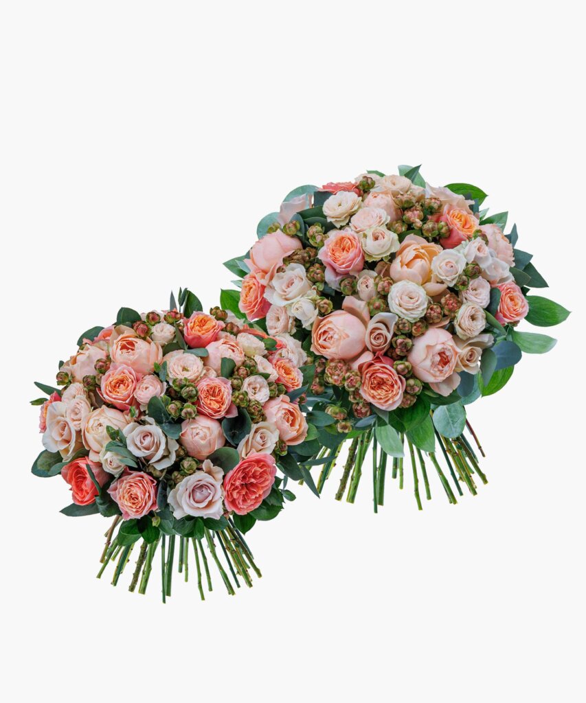Champagne Roses (シャンパン ロージズ)